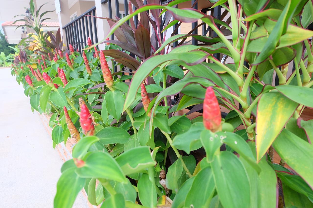Deva Garden Resort براشينبوري المظهر الخارجي الصورة