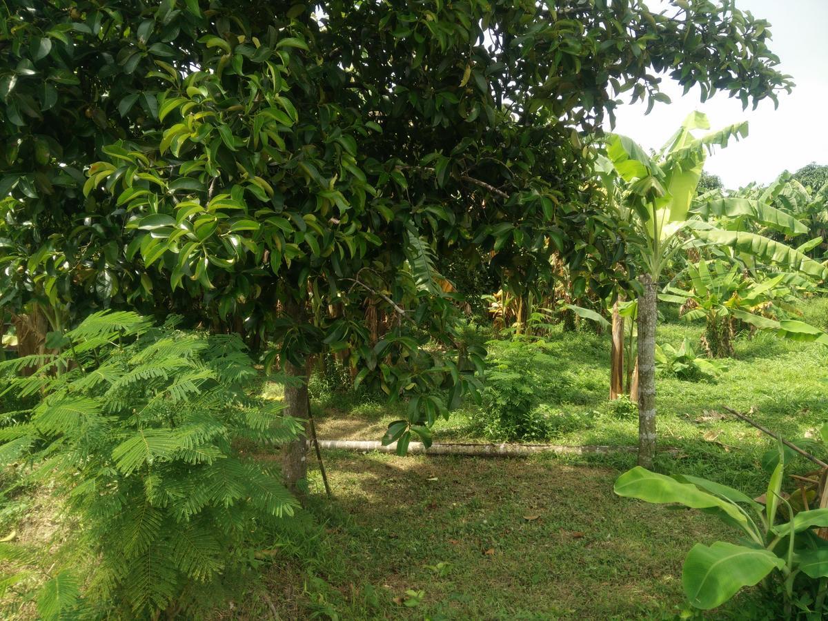 Deva Garden Resort براشينبوري المظهر الخارجي الصورة