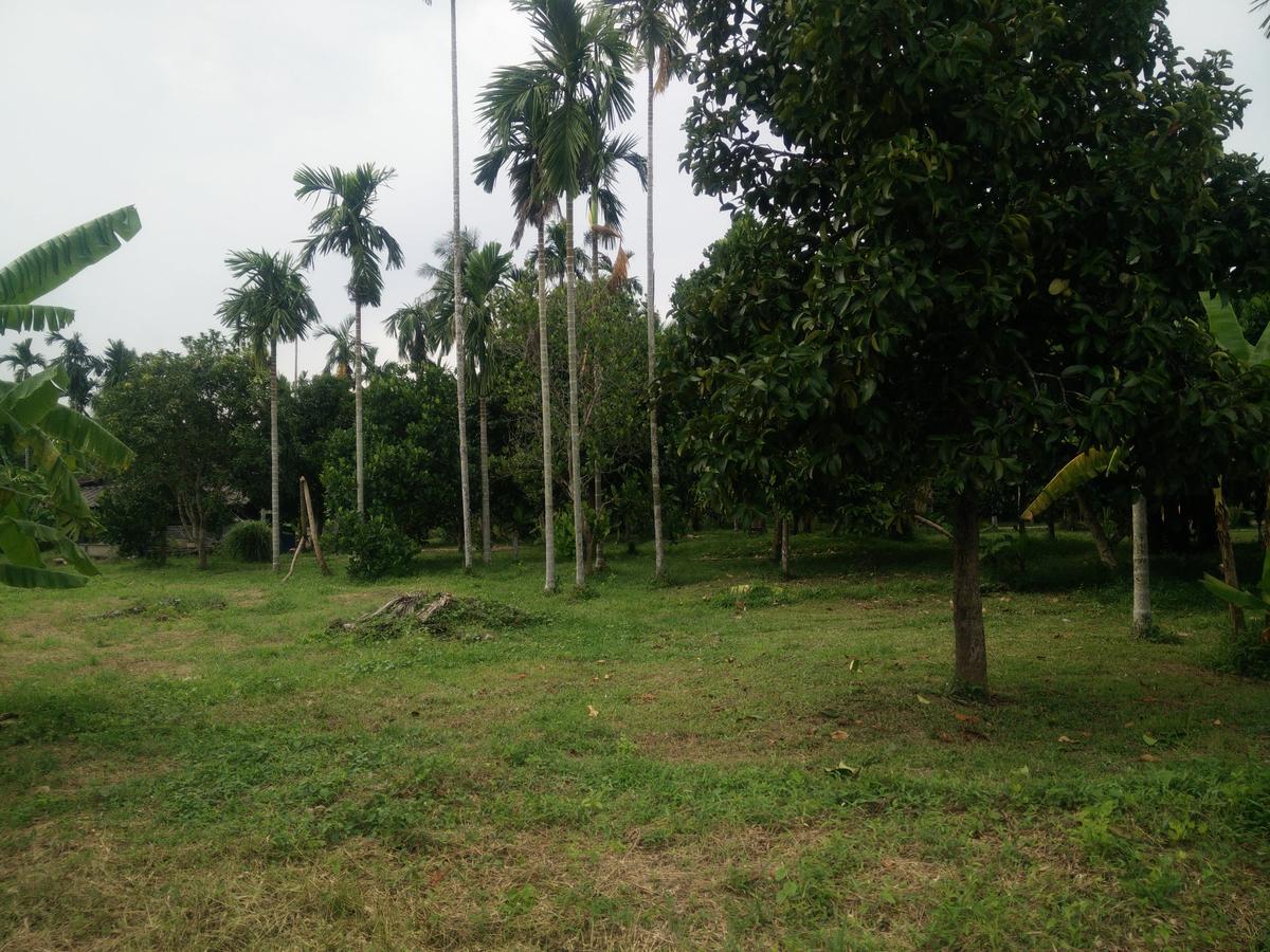 Deva Garden Resort براشينبوري المظهر الخارجي الصورة